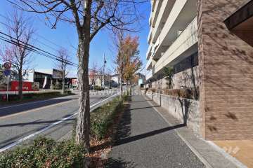 敷地南西側の前面道路（南東側から)