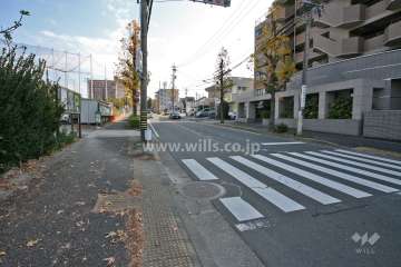 敷地北側の前面道路(西側から)