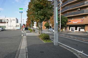 敷地南西側の前面道路（南東側から）