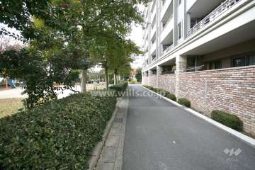 敷地南西側の前面道路