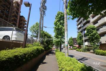 敷地北側の前面道路（東側から）