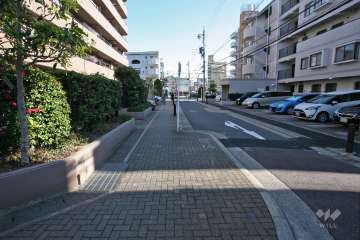 敷地南側の前面道路（西側から）