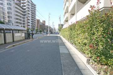 敷地南側の前面道路（東側より）