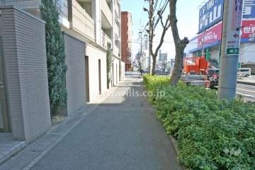 敷地南側の前面道路（西側から）