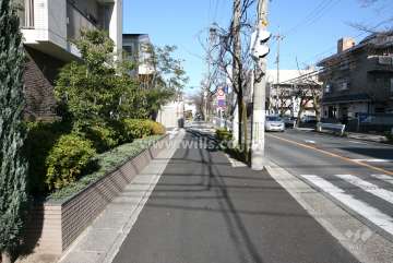 敷地東側の前面道路（南側から）