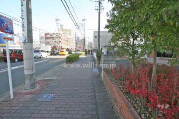 敷地北側の前面道路（西側から）