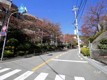 敷地東側の前面道路