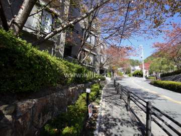 敷地の周囲には生垣が設けられています。