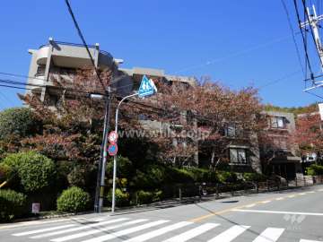 ステイツ花屋敷つつじが丘の外観（東側から）