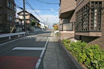 敷地西側の前面道路