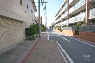 敷地南側前面道路（南東側から）