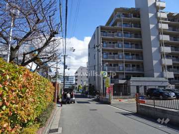 敷地北側の前面道路