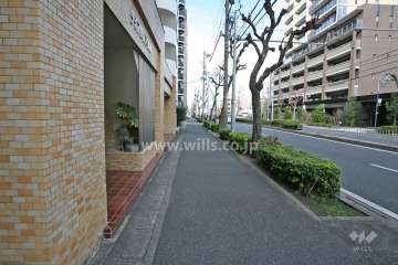 敷地前面道路