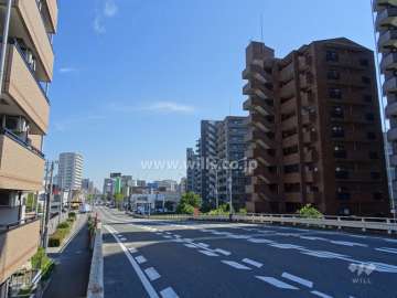 敷地北側の前面道路（西側から）