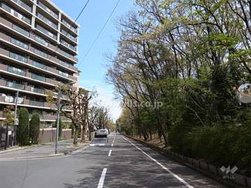 敷地の南側は道を挟んで緑地になっています。