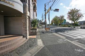 敷地西側の前面道路