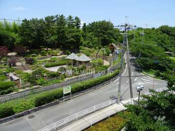 道を挟んで北側には緑化植物園があります。