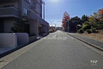 敷地西側の前面道路（北側から）