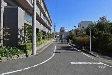 敷地北側の前面道路（西側から）