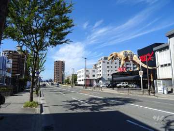 敷地北側の前面道路（東側から）※国道479号線、大阪内環状線です。