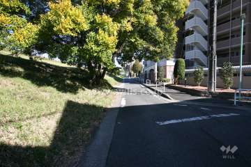 敷地北西側の前面道路
