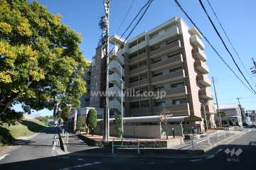 シャトレ愛松島田の外観（西側から）