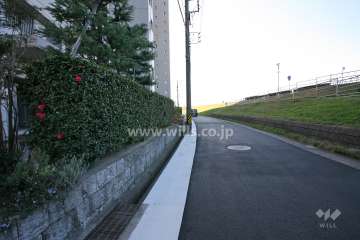 敷地北側の前面道路（東側から）