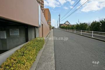 敷地前面道路