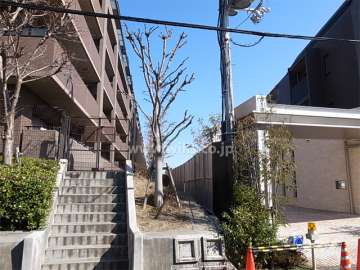 敷地南側にはマンションが立っていますが、間隔があります。