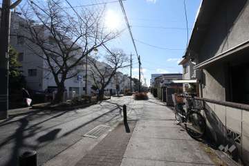 敷地西側の前面道路（北側から）