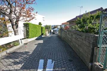 敷地南側の前面道路（北西側から）