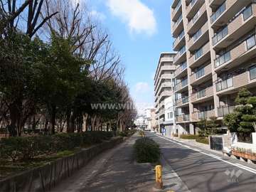 敷地南側の前面道路。道を挟んで南側には「南吹田公園」が広がっています。