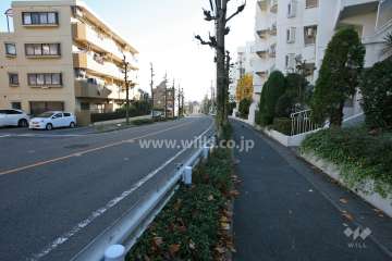 敷地東側の前面道路（北側から）