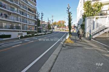 敷地東側の前面道路(南側から)
