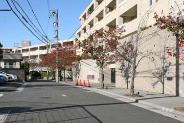 敷地西側の前面道路（南側から）