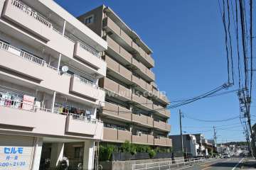 ダイアパレス野並の外観(南側から)