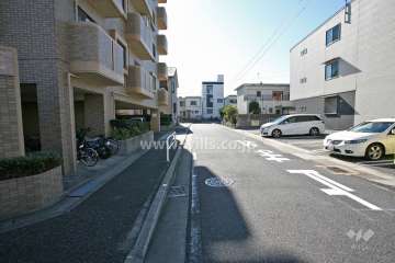 敷地西側の前面道路