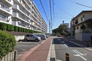 敷地南西側の前面道路（北西側から)