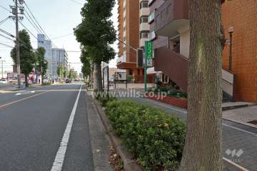 敷地北側の前面道路（西側から）