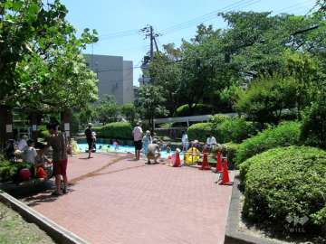 敷地内のプール