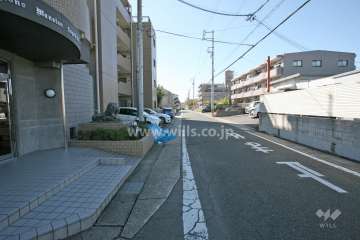 敷地北西側の前面道路（北東側から）