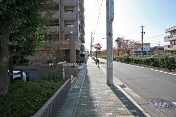 敷地西側の前面道路
