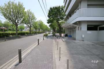 敷地の東側前面道路（北側から）