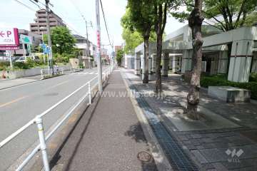 敷地の西側前面道路（南側から）