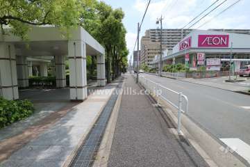 敷地の西側前面道路（北側から）