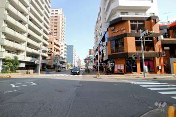 敷地北側の前面道路（西側から）