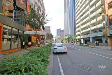敷地北側の前面道路（東側から）