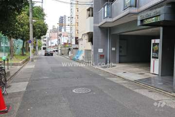 敷地北側の前面道路。道を挟んで向かい側は『七小公園』です。