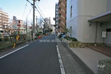 敷地北側の前面道路