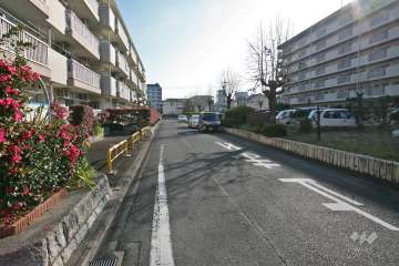 敷地南側の前面道路（東側から）